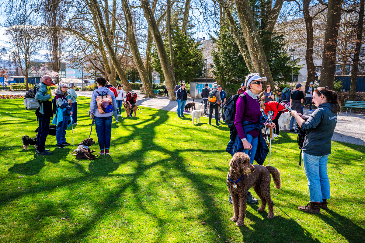 Gruppe beim FührhundehalterInnen-Seminar in Park