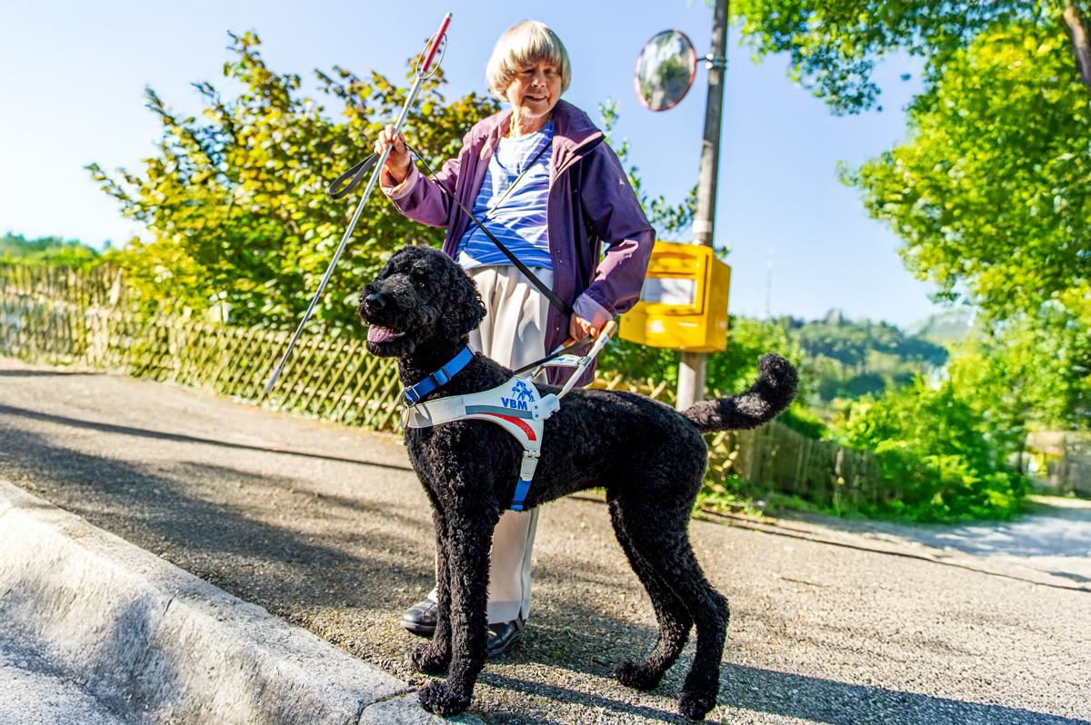 Blindenhundeteam unterwegs auf Trottoir