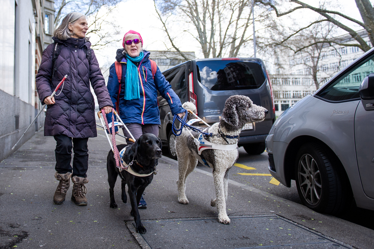 Zwei Führhundehalterinnen unterwegs mit ihren Hunden im Führgeschirr