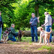 Blindenhundeteams und JunghundetrainerInnen im Wald