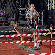 Tim bei der Vorführung