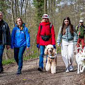 Die Gruppe spaziert mit den Hunden im Freilauf im Wald
