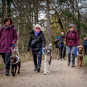Blindehundehaltende beim Spazieren im Wald