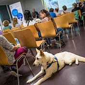 Sogar ein weisser Schäferhund ist im Publikum.